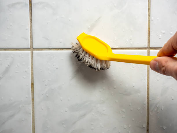 Best Mold Removal Near Me  in Lake Isabella, MI