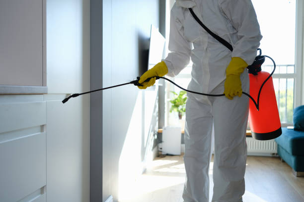 Best Residential Mold Removal  in Lake Isabella, MI