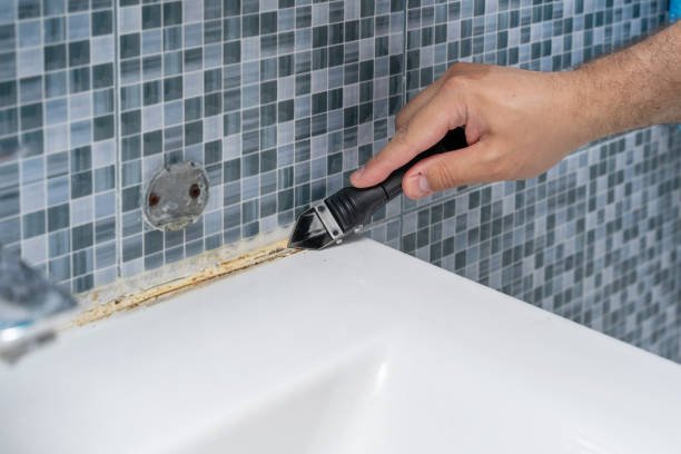Best Best Mold Removal Companies  in Lake Isabella, MI